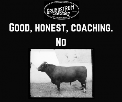 Bull